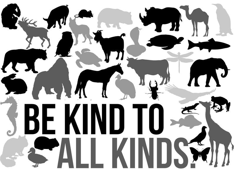 Be Kind to All Kinds Animal Tee Shirt - In Grey & White