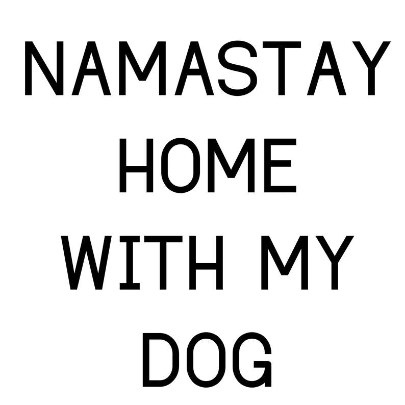 Namastay Home with my Dog Ladies Tee Shirt - In Grey & White